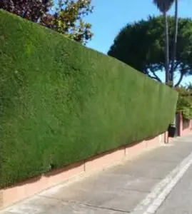 Taladores y podadores de árboles en altura Ávila Taladores y podadores de árboles en altura Ávila